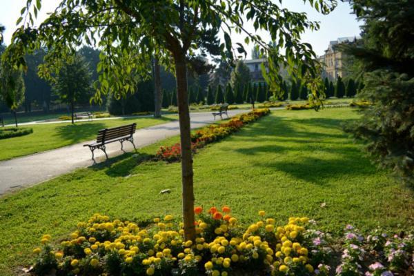 Апартаменти Bohemian Quarter / City Park, Free Parking Скоп'є Екстер'єр фото